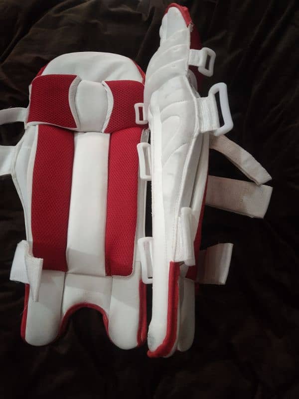 Cricket batting pads 1