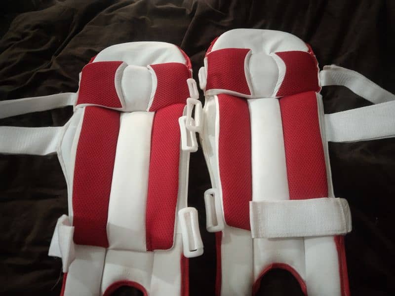 Cricket batting pads 2