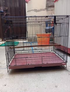 birds big cage available in good condition .