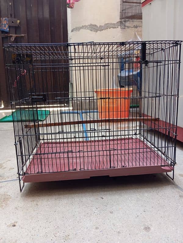 birds big cage available in good condition . 0