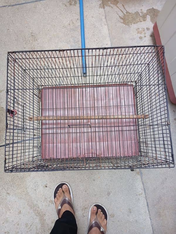 birds big cage available in good condition . 1