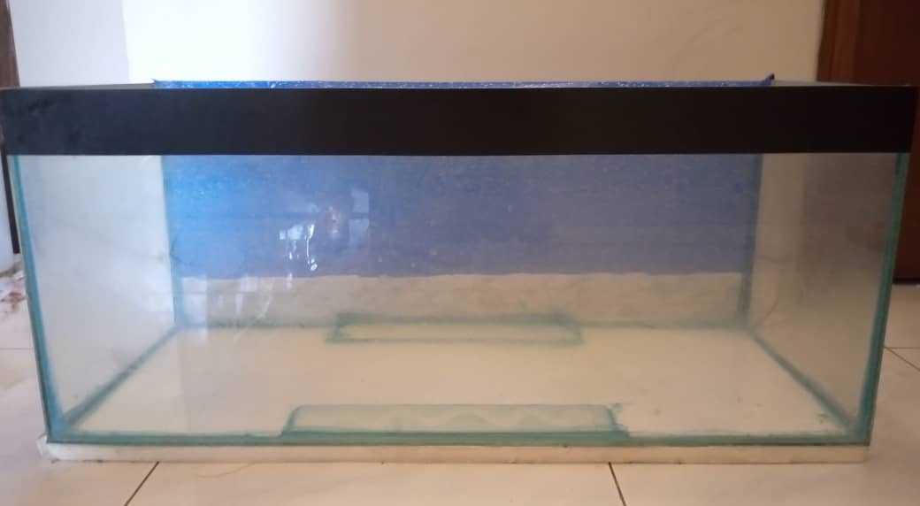 3 ft Aquarium glass fish tank with wallpaper 1