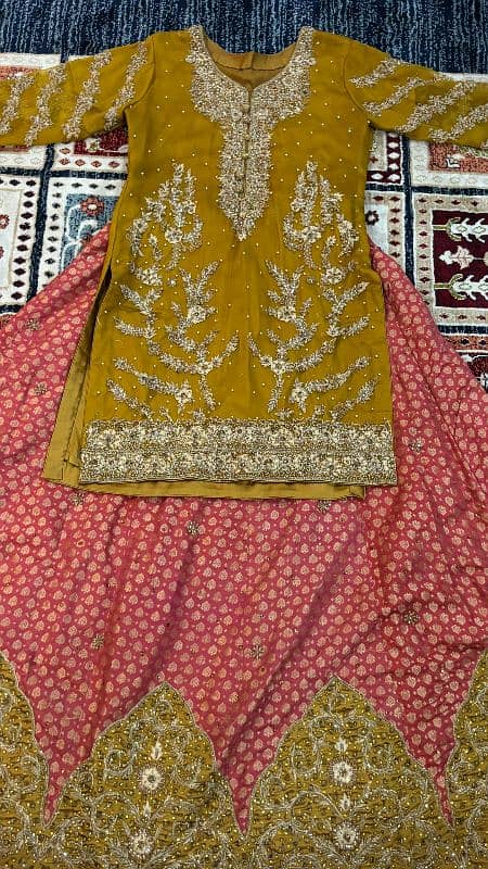 Lehnga Shirt 3 peice 9