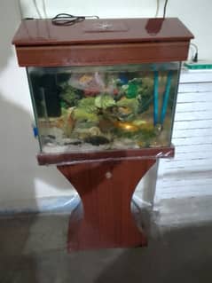 aquarium