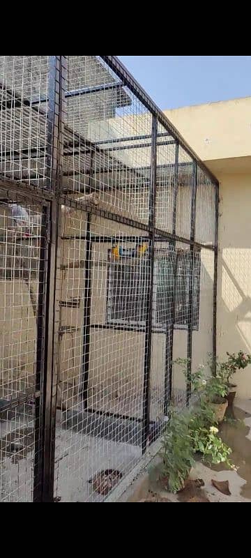 Cage for sale 13