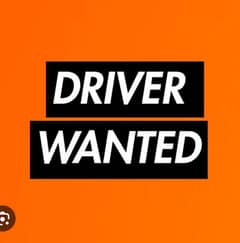 Professional driver needed