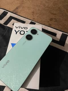 vivo