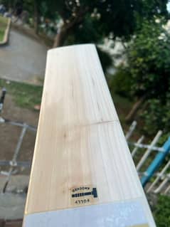 Cricket Bat