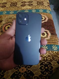 I Phone 12 256 gb PTA Approved