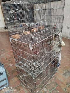 love birds parrot Cage for sale