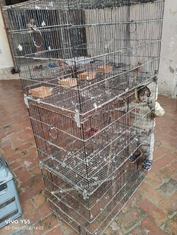 love birds parrot Cage for sale 0