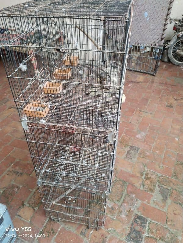 love birds parrot Cage for sale 1