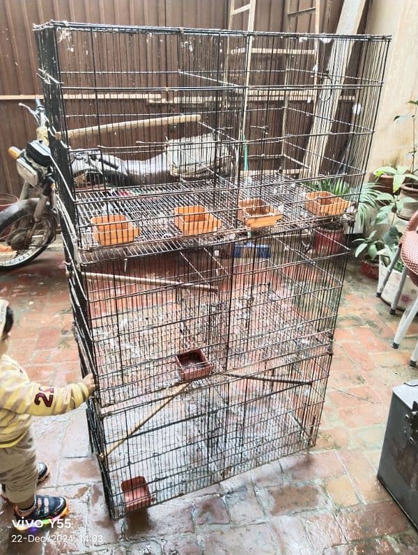 love birds parrot Cage for sale 2