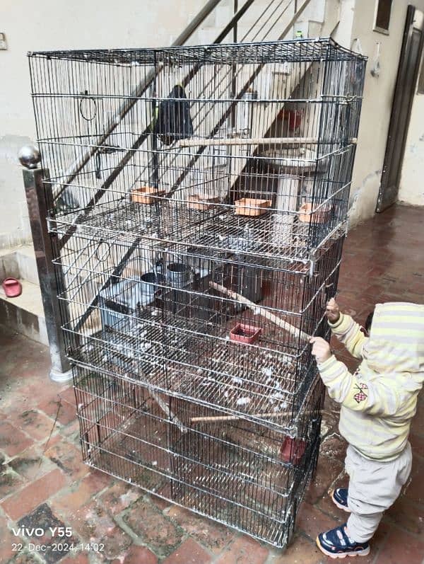 love birds parrot Cage for sale 3