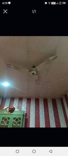 ceiling fan for sale in excellent condition