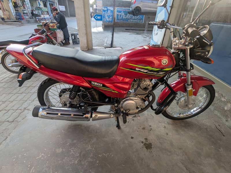 Yamaha YB 125Z 2024 1