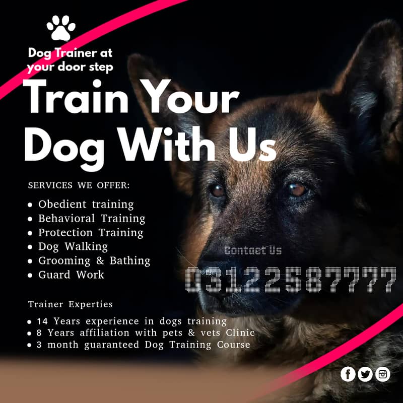 Dog Training / Professional Dog Trainer / Dog Behavior Specialist 0