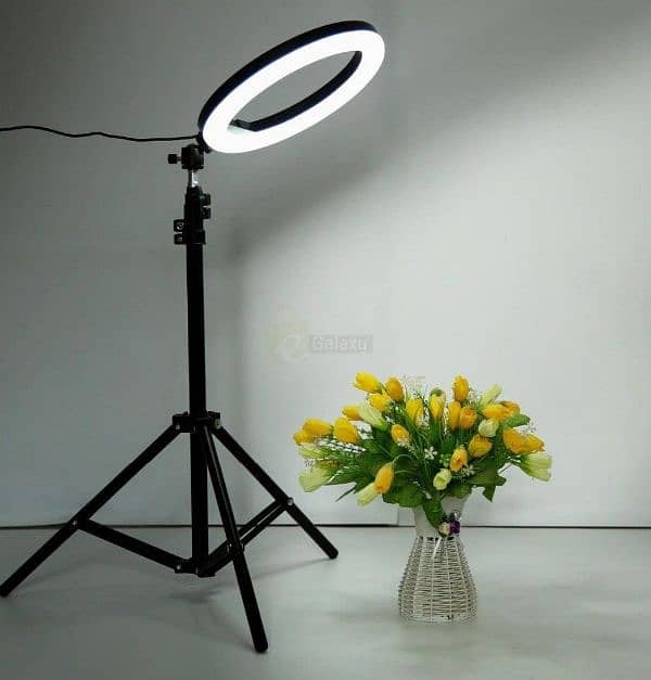 Ring Light with Tripod stand 2