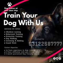 Dog Training / Professional Dog Trainer / Dog Behavior Specialist