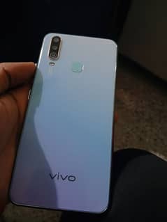 VIVO