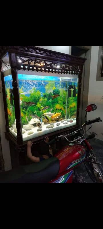 Big fish Aquarium with solid wooden cage 2