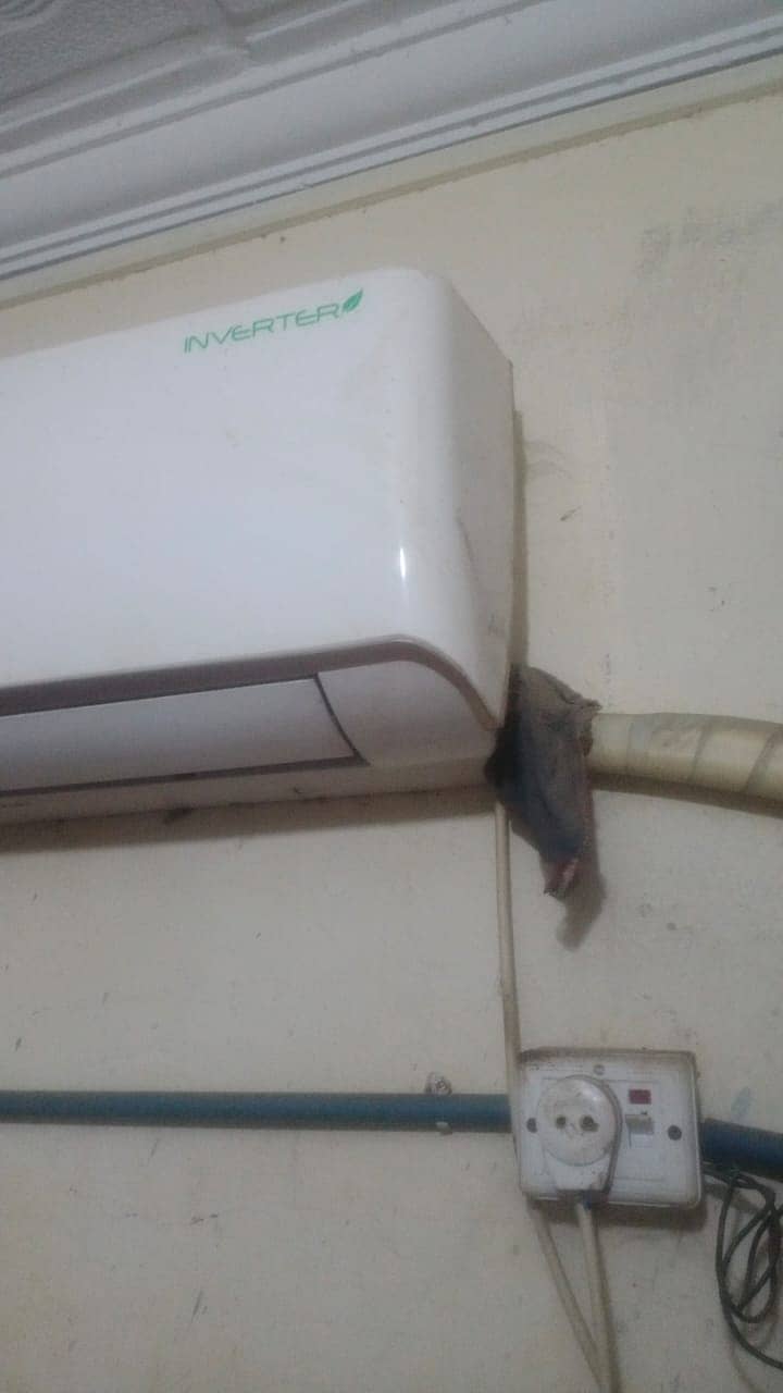 1.5 ton DC inverter (Multan chowk kumara wala) 1