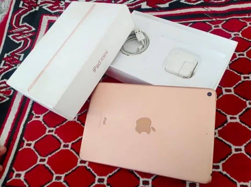 Apple iPad Mini 5 0