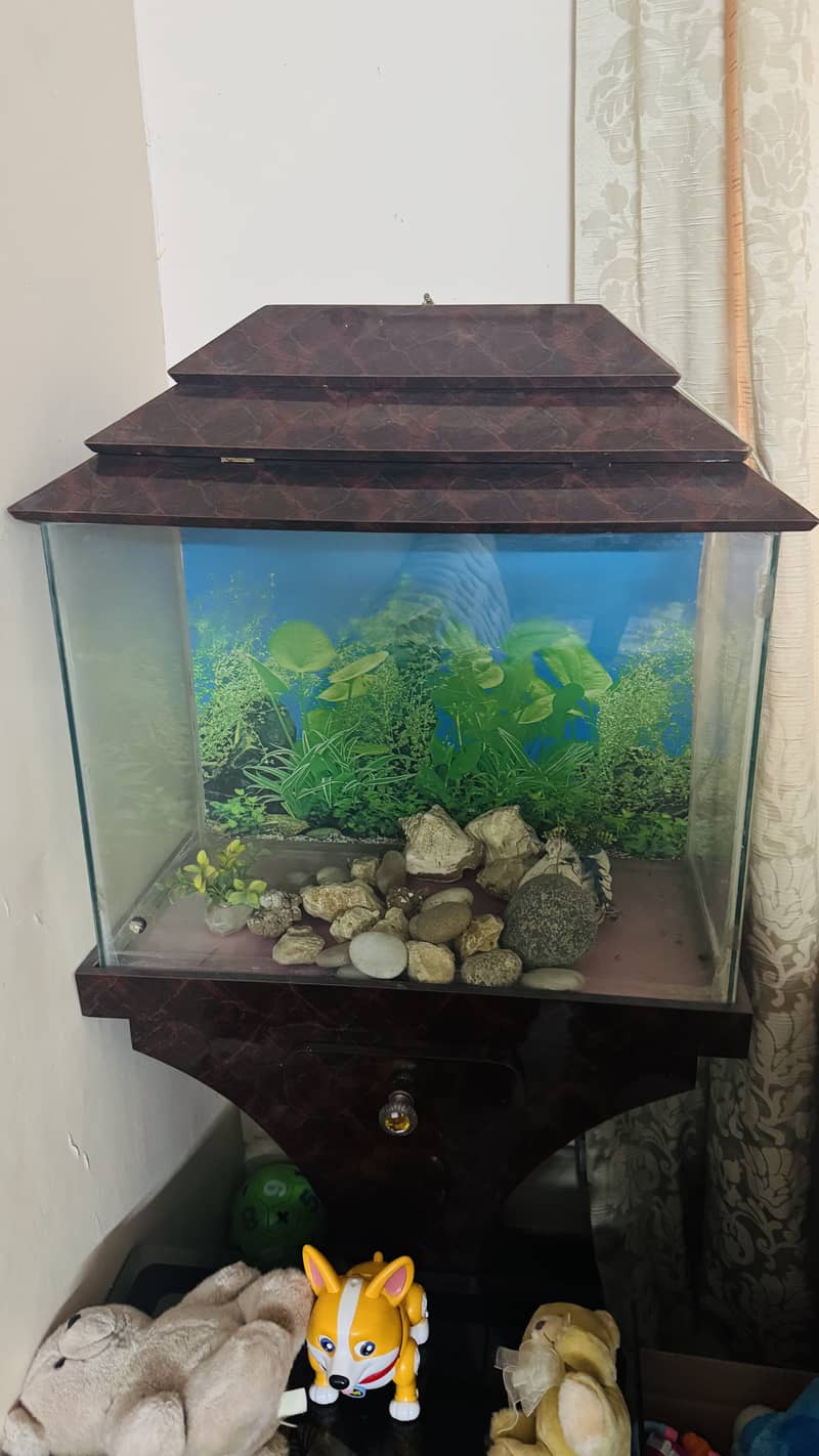 Fish Aquarium 0