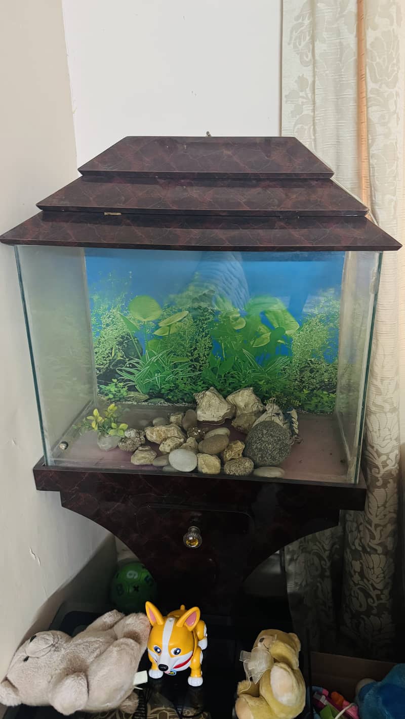 Fish Aquarium 1