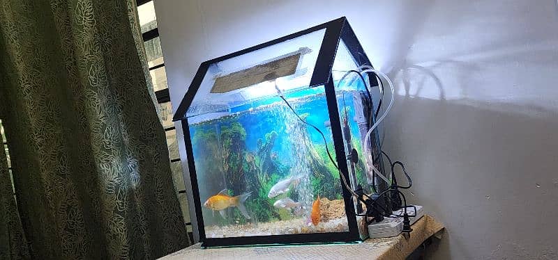 Fish with Aquarium for sale 0