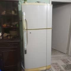 fridge