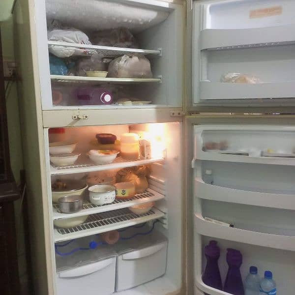 fridge 1