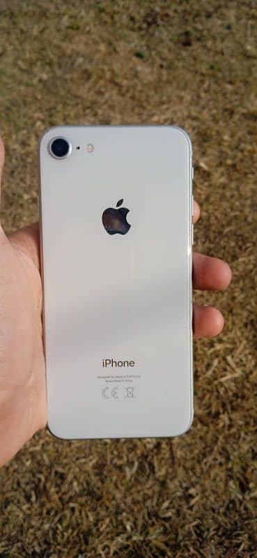 iPhone 8 ( read description) only message in olx 0