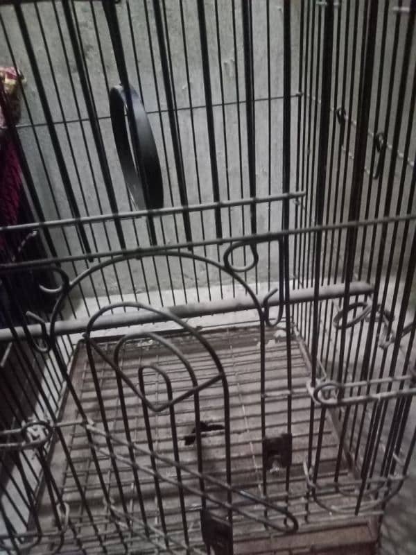 cage for sale in good condition strong cage 1