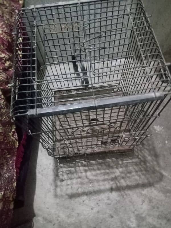 cage for sale in good condition strong cage 2