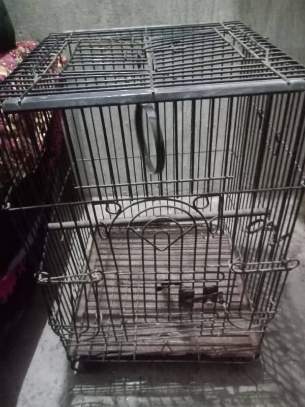 cage for sale in good condition strong cage 3