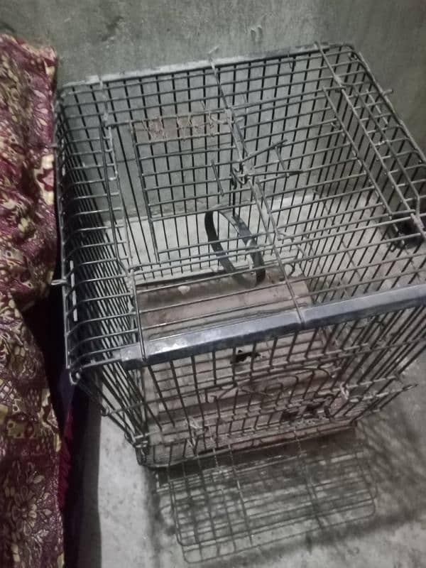 cage for sale in good condition strong cage 5