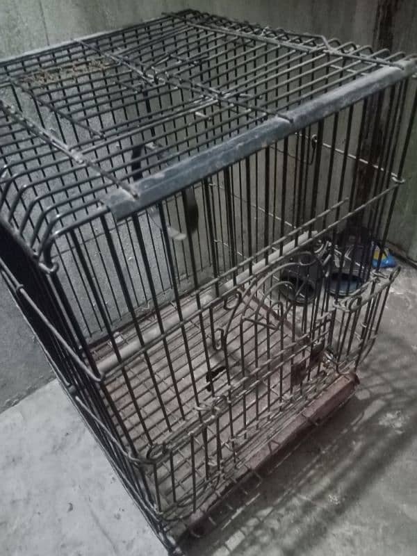 cage for sale in good condition strong cage 7