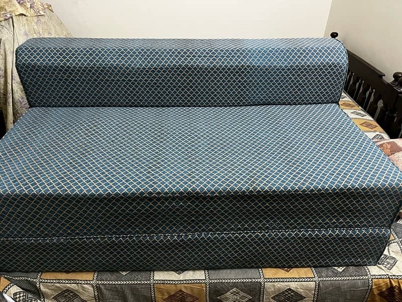 sofa cum Bed 0