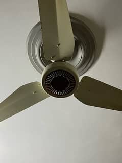 celing fan in good condition