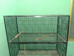 Bird cages (5000 per cage )