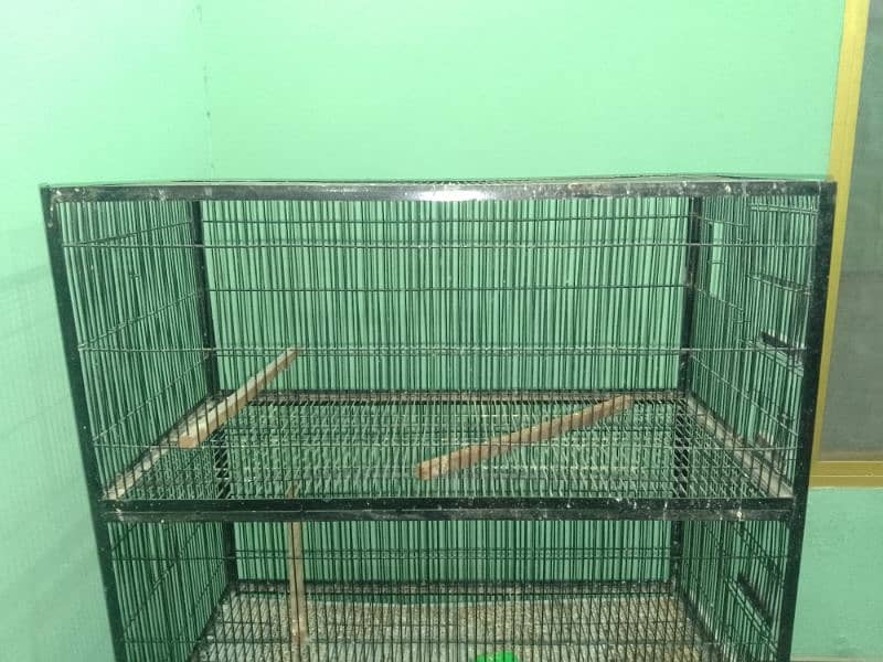 Bird cages (6000 per cage ) 0