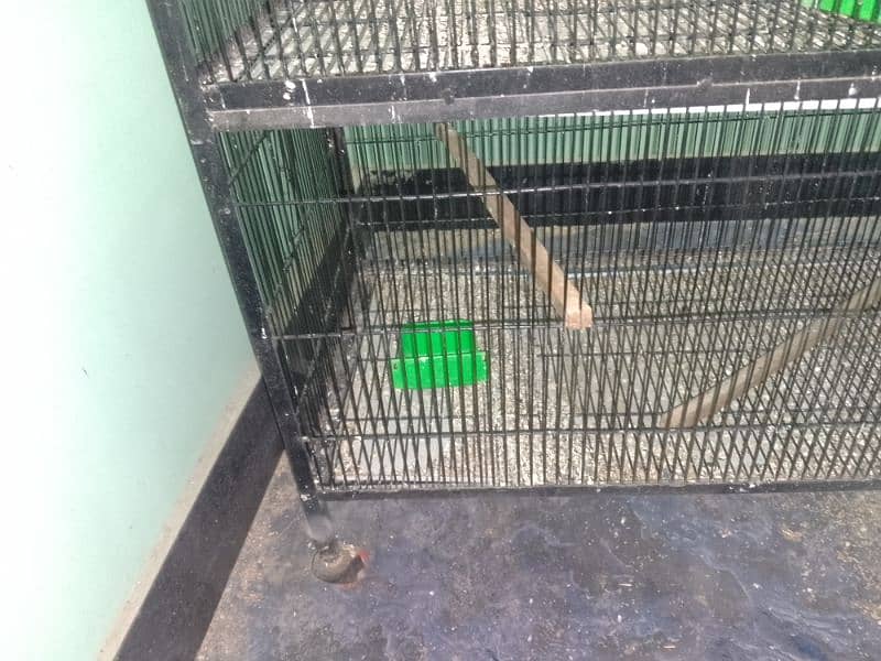 Bird cages (6000 per cage ) 1