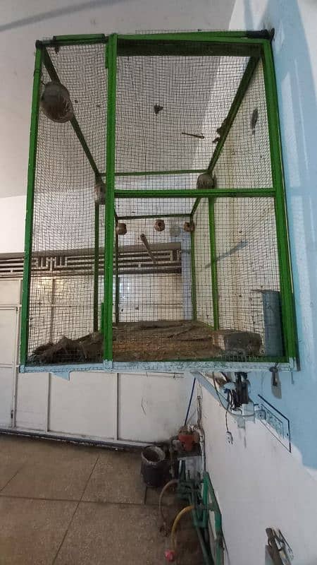 Bird Cage (FOR SALE!!!) 1