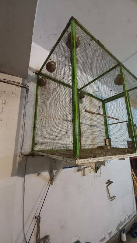 Bird Cage (FOR SALE!!!) 3