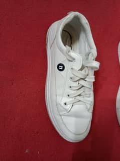 Sneaker 40 size