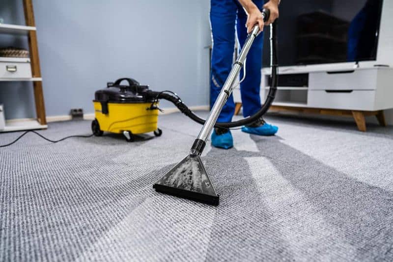 sofa carpet cleaning services 2