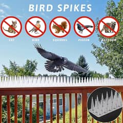 ANTI - Bird Barrier - REPELLENT - STAINLESS STEEL Spikes In Pakistan