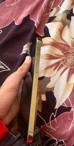 iPhone 12 Pro max PTA Approved condition 10/10