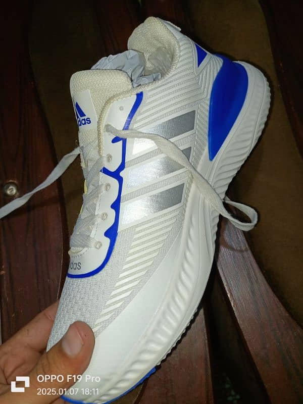 Adidas untouched new shoes. . . . . available on urgent basis 7